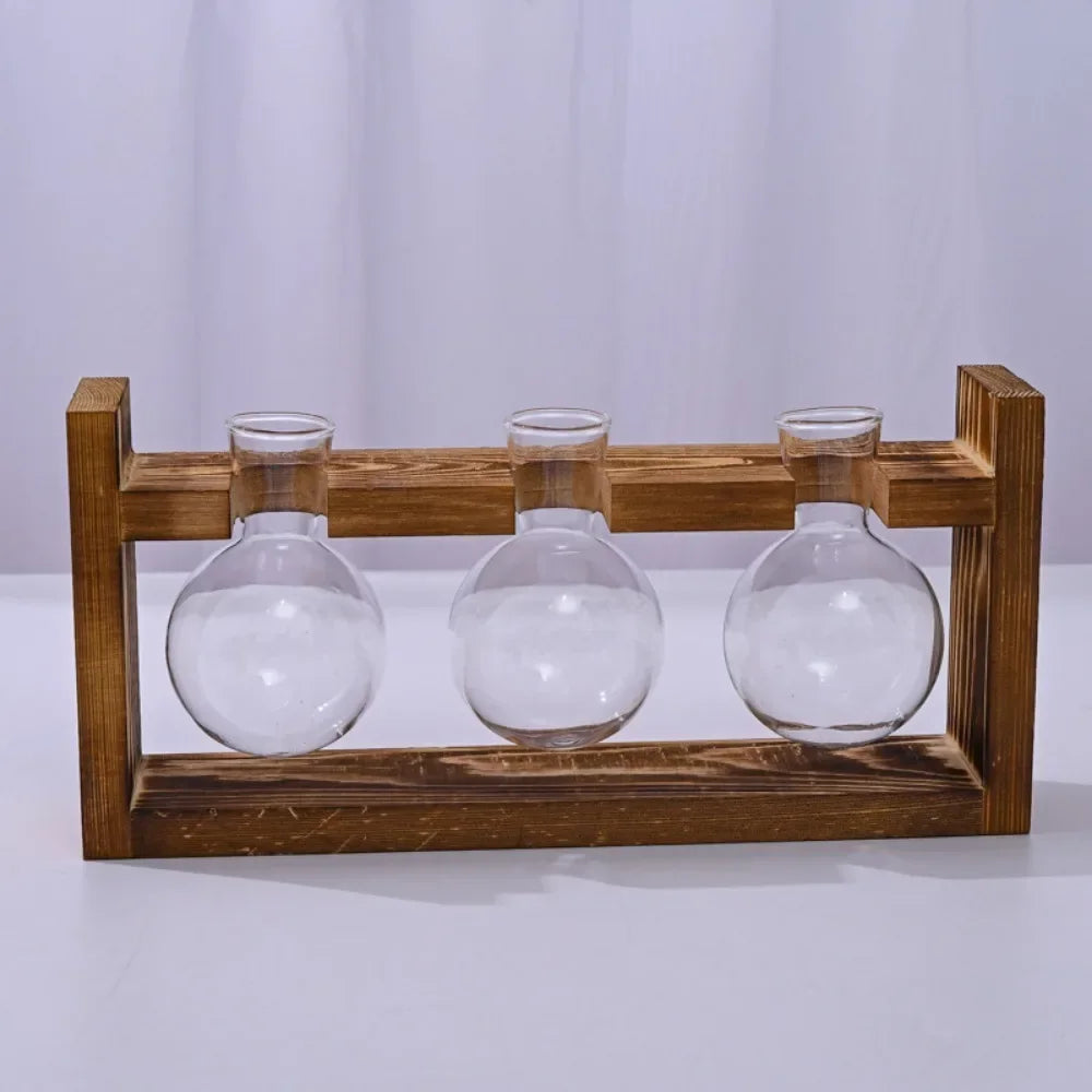 Tabletop Glass Propagation Station