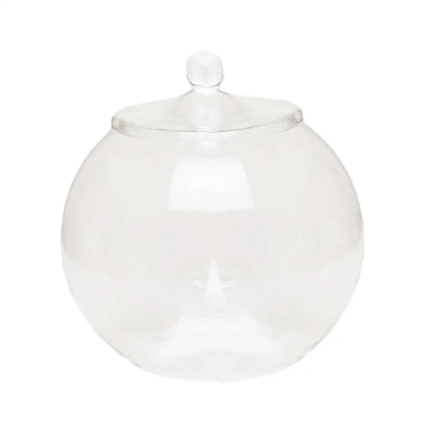 Decorative Glass Terrarium Jar