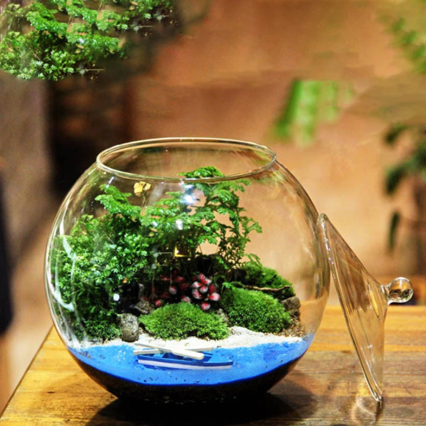 Decorative Glass Terrarium Jar