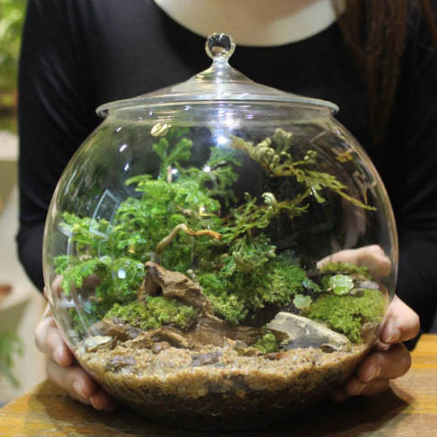 Decorative Glass Terrarium Jar