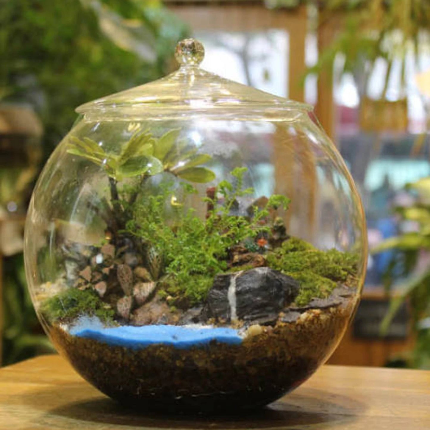 Decorative Glass Terrarium Jar