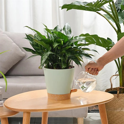 Self-Watering Plant Pots (5 Pack)