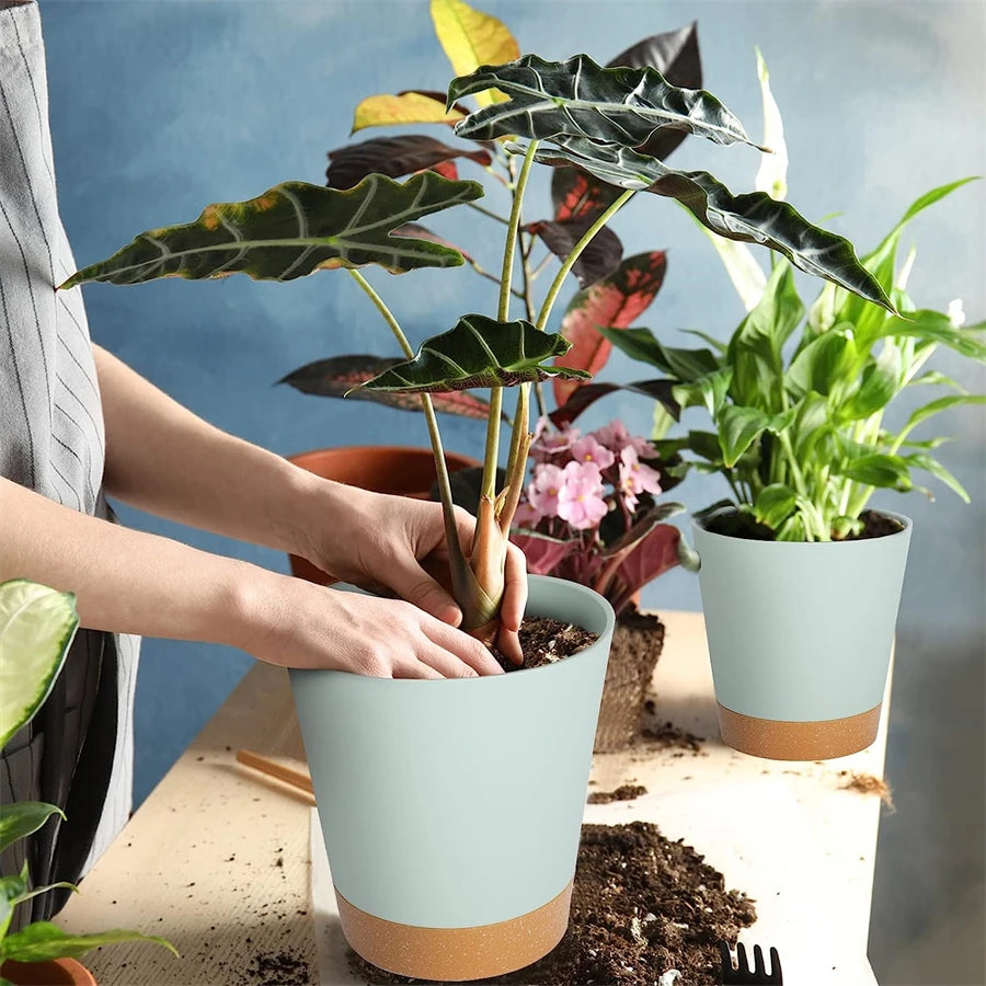 Self-Watering Plant Pots (5 Pack)
