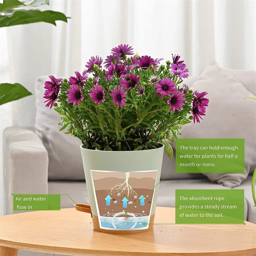 Self-Watering Plant Pots (5 Pack)