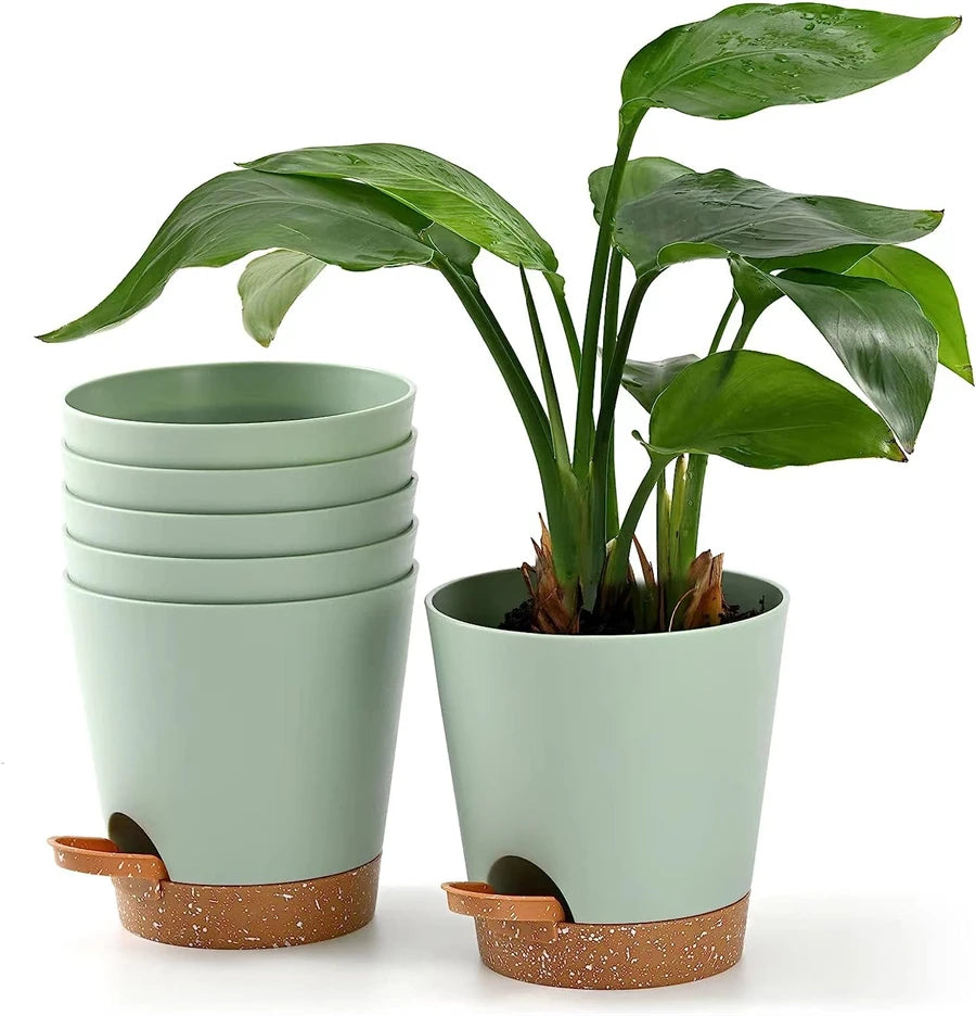 Self-Watering Plant Pots (5 Pack)