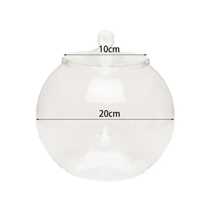 Decorative Glass Terrarium Jar