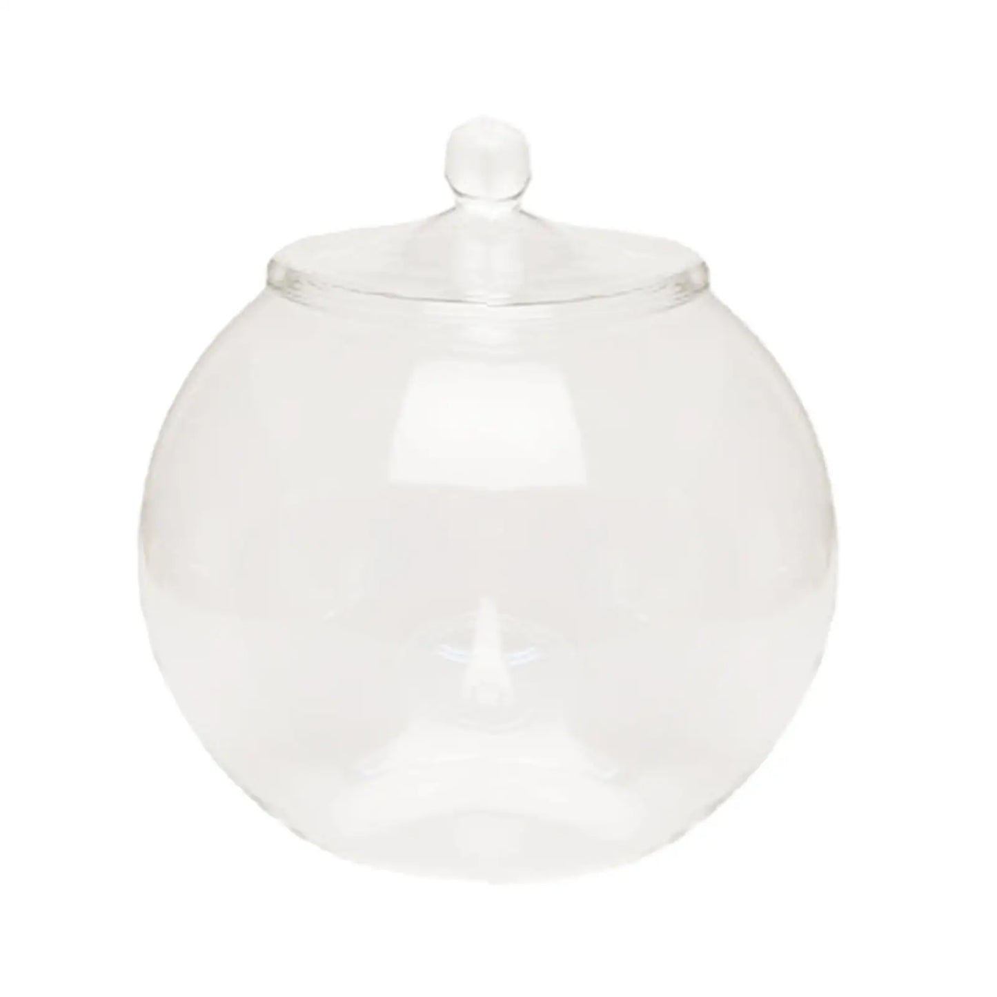 Decorative Glass Terrarium Jar