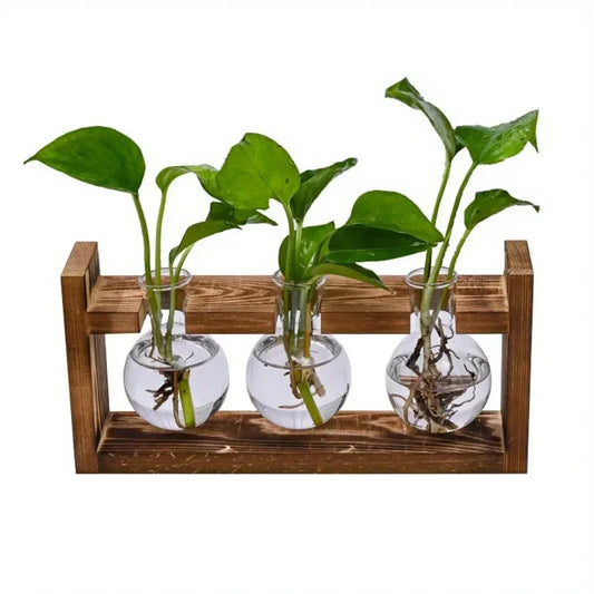 Tabletop Glass Propagation Station