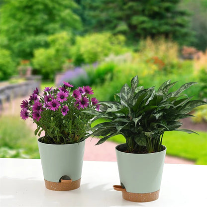 Self-Watering Plant Pots (5 Pack)