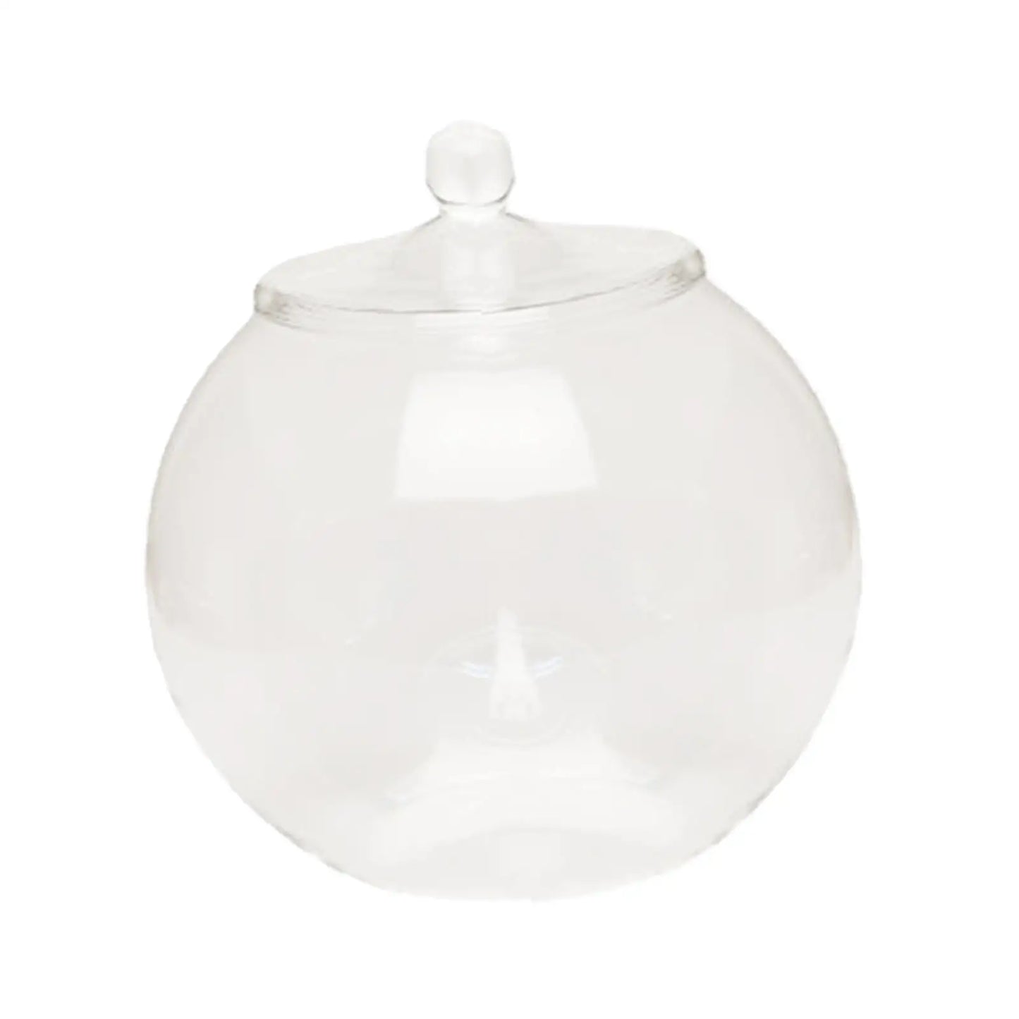 Decorative Glass Terrarium Jar