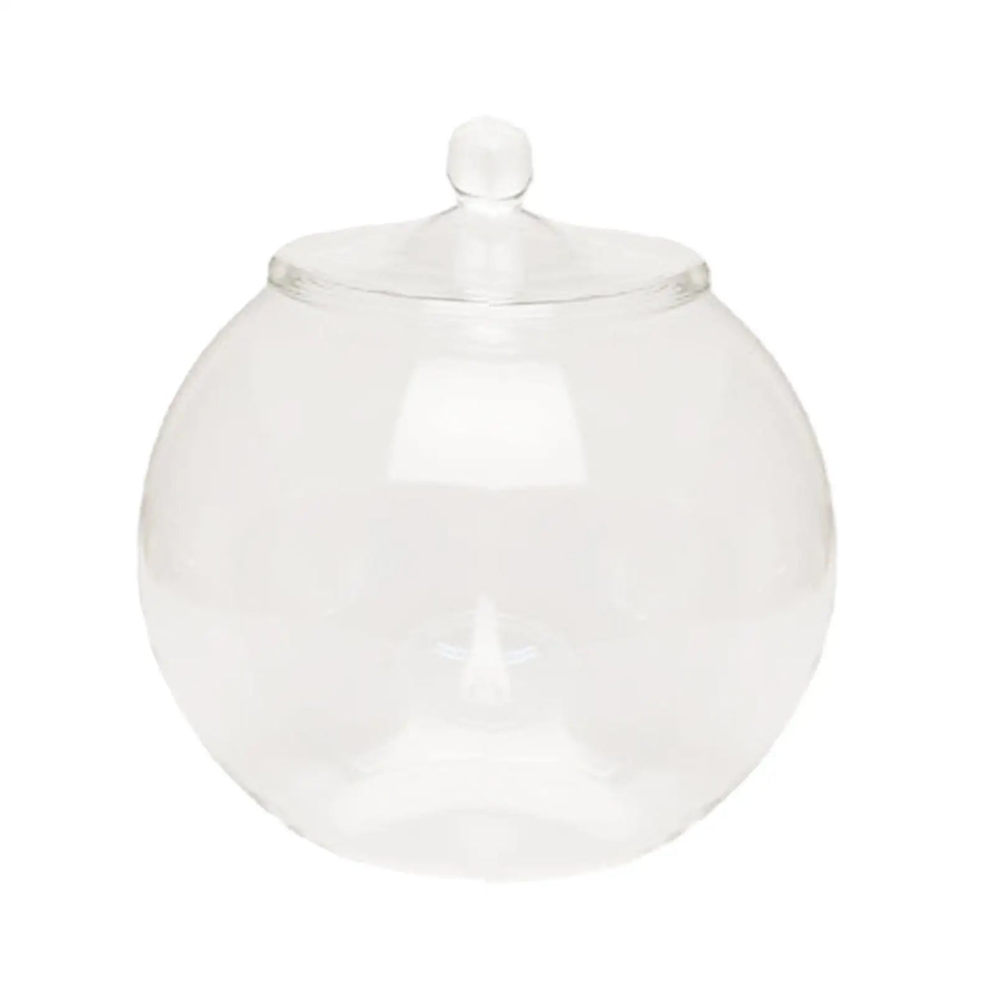 Decorative Glass Terrarium Jar