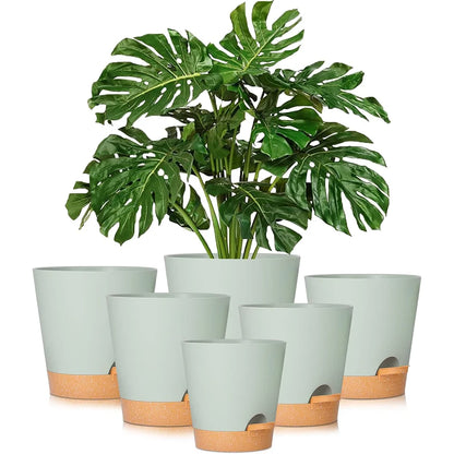 Self-Watering Plant Pots (5 Pack)