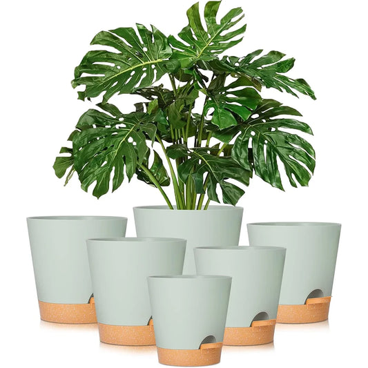 Self-Watering Plant Pots (5 Pack)