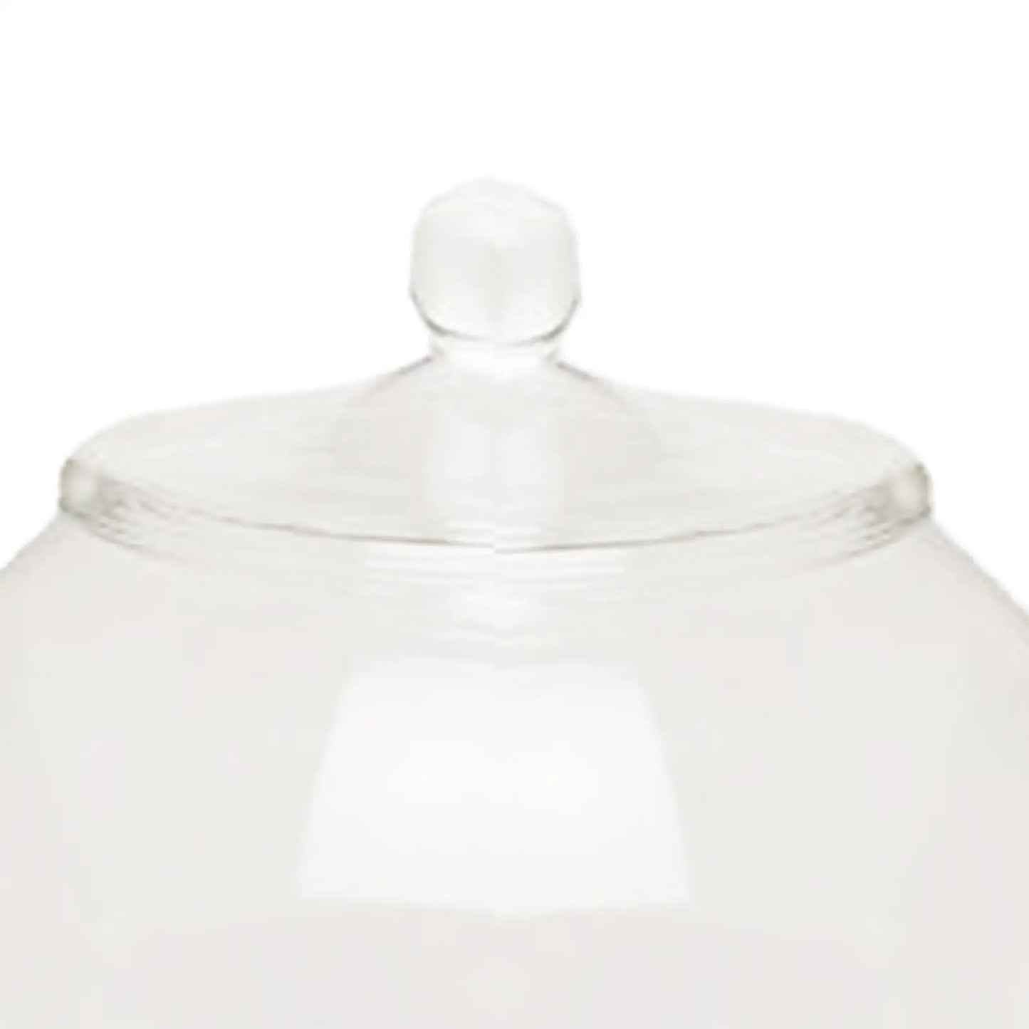 Decorative Glass Terrarium Jar