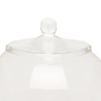 Decorative Glass Terrarium Jar