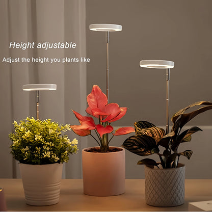 Adjustable LED Plant Grow Light