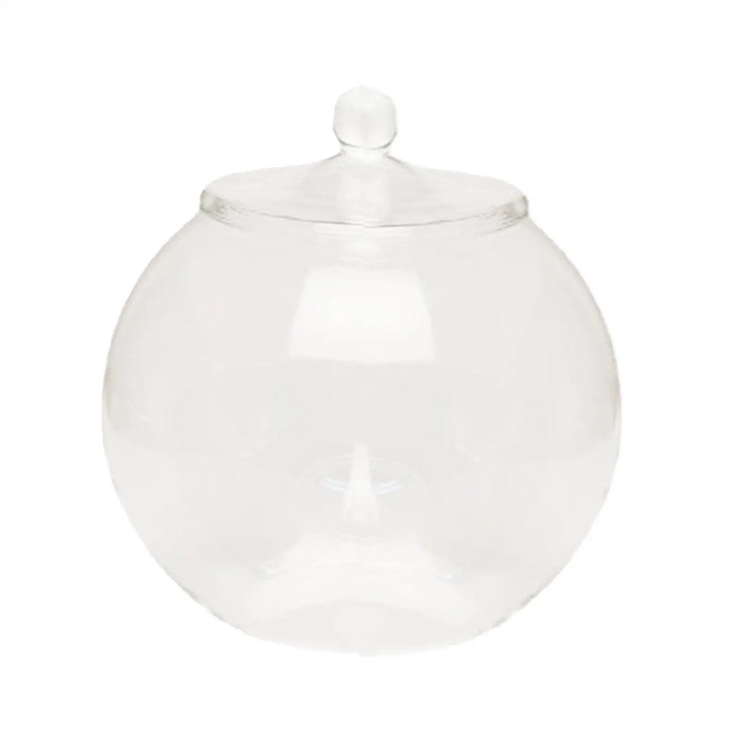Decorative Glass Terrarium Jar