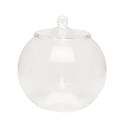 Decorative Glass Terrarium Jar