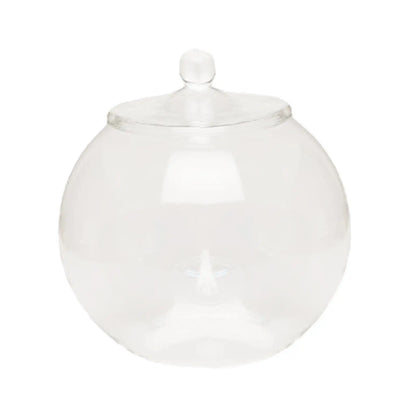 Decorative Glass Terrarium Jar