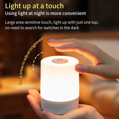 Touch Control Bedside Lamp