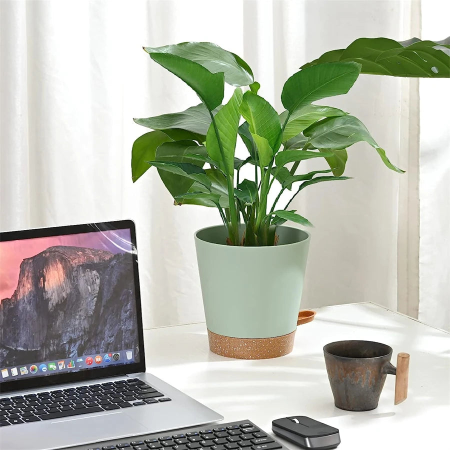 Self-Watering Plant Pots (5 Pack)